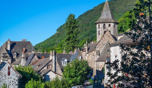 Charmant appartement de 2 chambres a Vic-sur-Cere