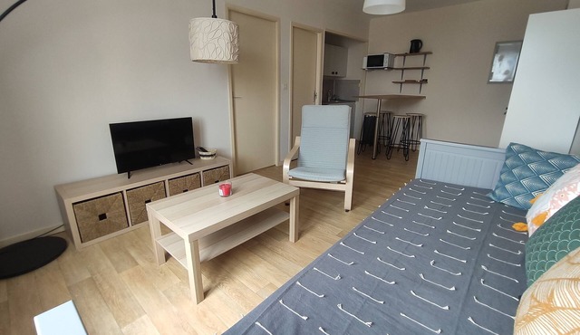 Charmant Appartement à St Aignan/Zoo de Beauval