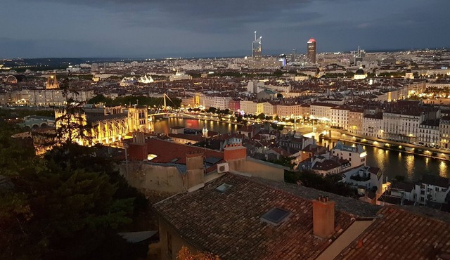 Charmant Appartement Plein Centre Ville de Lyon. Animaux de Compagnie Acceptés !