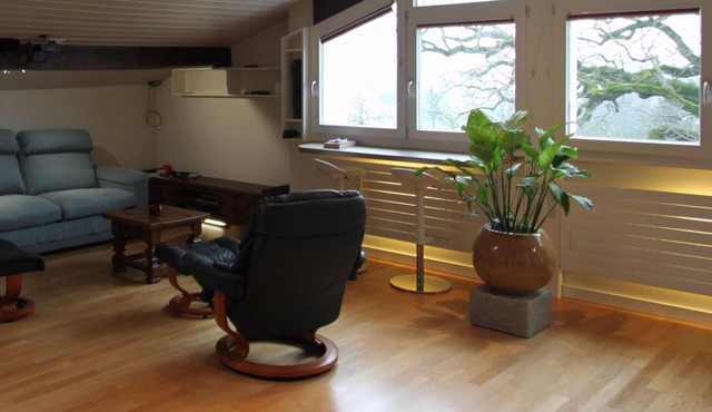 Charmant attique à quelques minutes de Vésenaz