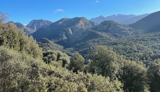 Charmant Chalet Calme et Paisible. Entre mer et Montagne !