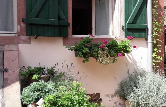 charmant petit appartement en Alsace