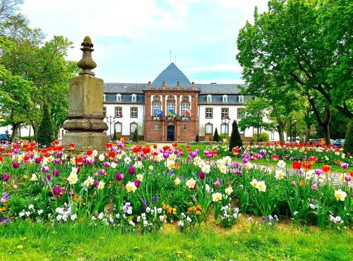 Charmant studio à Haguenau, à 25mn de Strasbourg