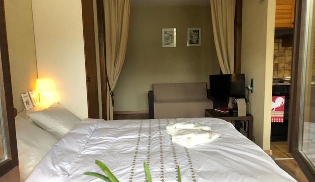 Charmant Studio, 2 adultes , Centre de Nendaz