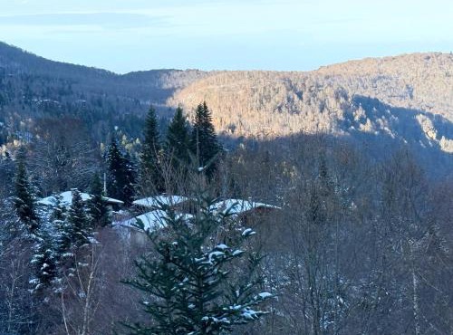 Charmant studio aux pieds des pistes