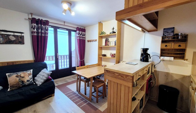 Charmant studio skis aux pieds – Le Revard