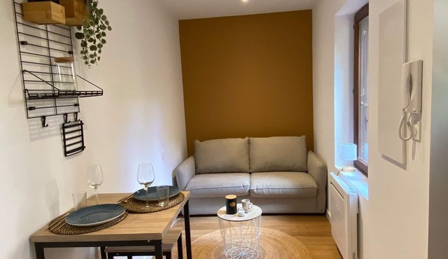 Charmant Studio Toulousain - Centre Ville - Refait à Neuf
