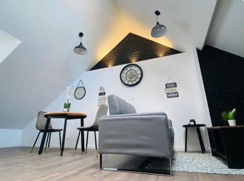 Charmant T2 atypique Industriel