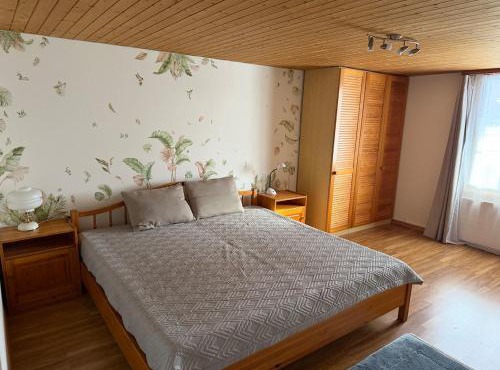 charmante 3,5 Zimmer Wohnung im Bauernhaus