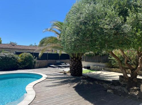 Charmante Chartreuse Bordelaise - Ancien Chai