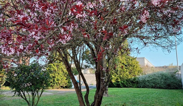CHARMANTE ET AGREABLE MAISON PROCHE OCEAN DANS UN ECRIN DE VERDURE