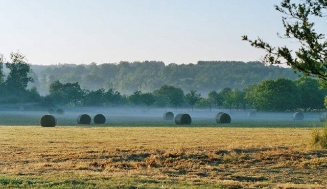Charmante Fermette Périgourdine Calme et Nature