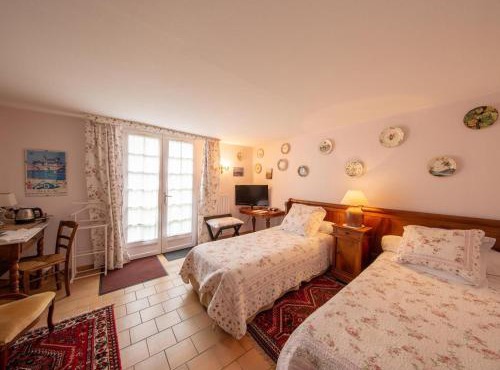 Charmante chambre avec terrasse privée et wifi à Saint-Benoît-sur-Loire - FR-1-590-487