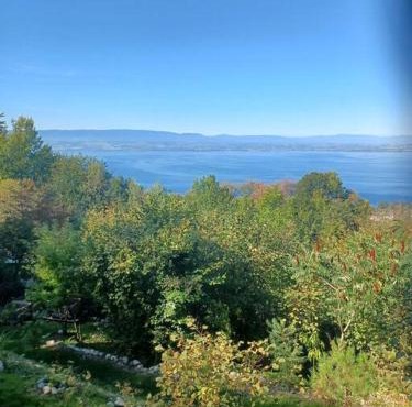 Charmante location Hauts d'Evian