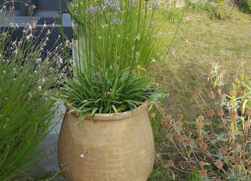 Charmante maison avec jardin et garage.