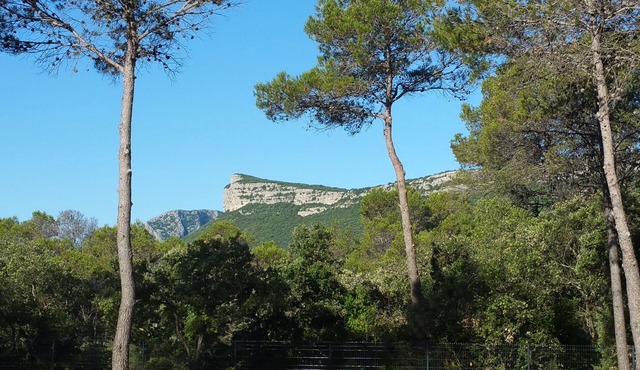 Charmante Maison Bien Située Entre Vigne et Pinède au Cœur du Pic Saint Loup
