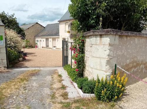 Charmante Maison en Pierre avec Jardin Près de Chinon - FR-1-381-608