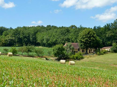 Charmante maison nature avec parking et animaux acceptés - FR-1-616-459