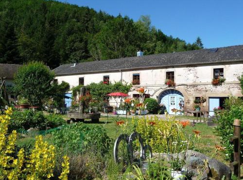Charme Authentique au Moulin de Saphoz avec Grand Jardin - FR-1-583-499