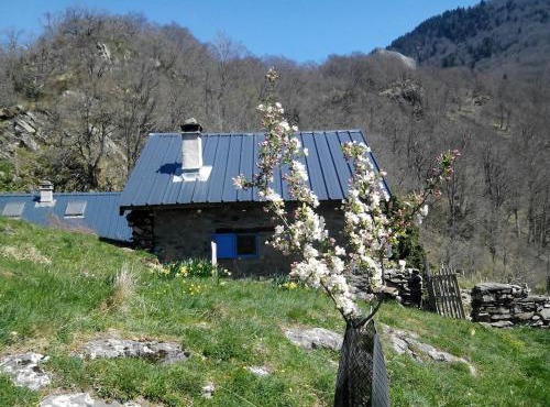 Charme authentique d'une cabane de montagne