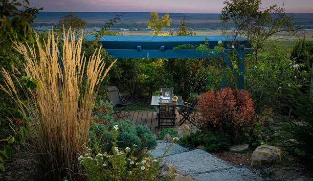 Charme - House view on the vineyard