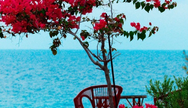 CHARMED COTTAGE IN A PRIVATE OASIS OVERLOOKING AN UNSPOILED COVE