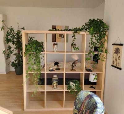 Charmerende og hyggelig lejlighed tæt på centrum