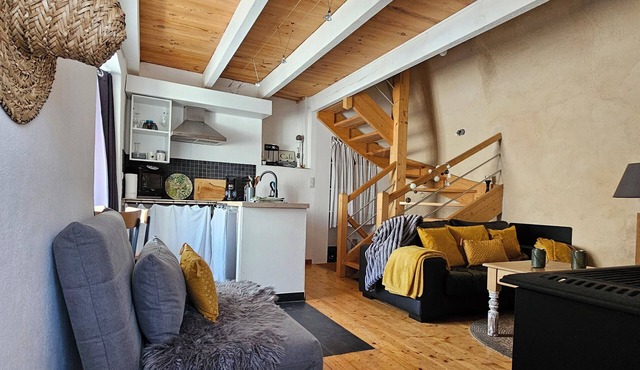 Charming caussenarde house