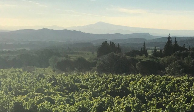 Charming 17th century Château