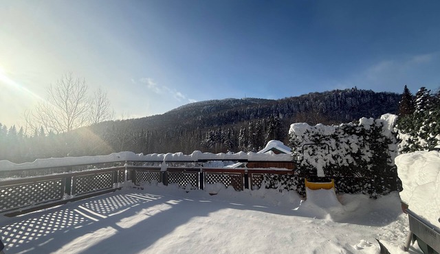 Charming ski cottage 30 min from Quebec city. Chalet du Hibou Voyageur.