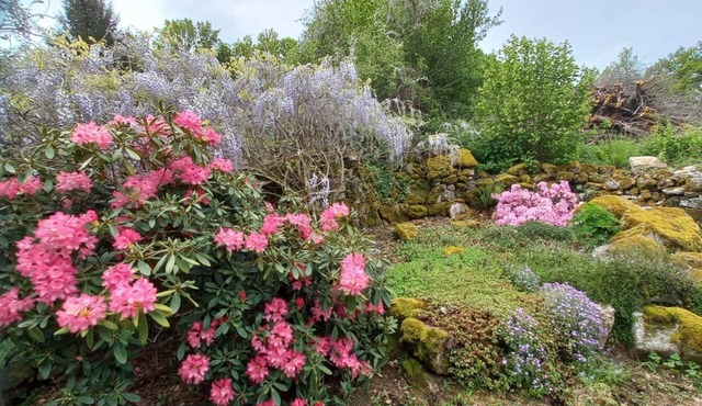 Charming country house near the forest with swimming pool and private garden