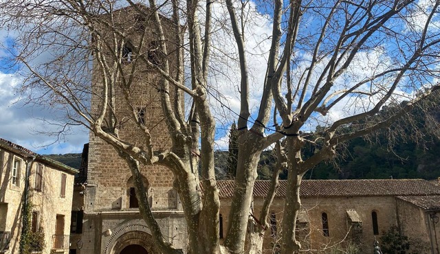 charming studio in the heart of Herault.