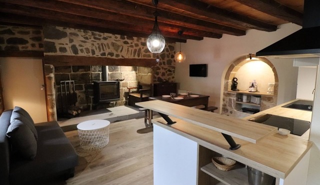 Charming house with terrace and fireplace - Pets allowed