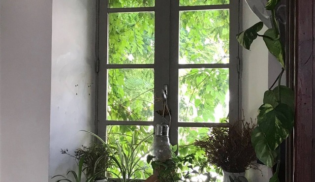 CHARMING OLD VILLAGE HOUSE, between Garrigues and PIC St LOUP
