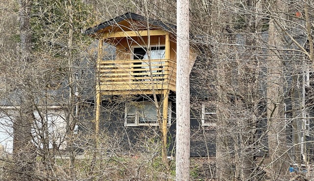 Charming 1/1 house in Margaretville with WiFi, AC, stunning golf course views