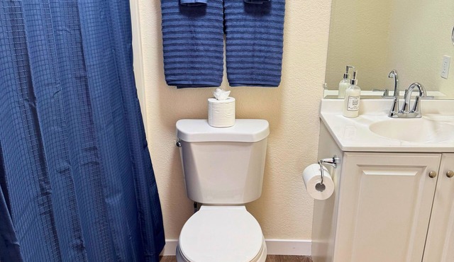 Charming 1-bedroom apartment in marvelous Colorado Springs with AC and heating