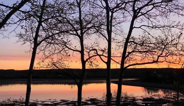 Charming 1-Bedroom Cabin on Duck Lake