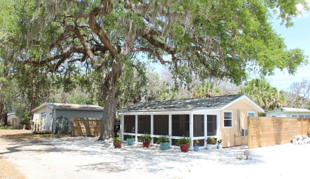 Charming 1-bedroom house with AC, WiFi in enchanting Tarpon Springs