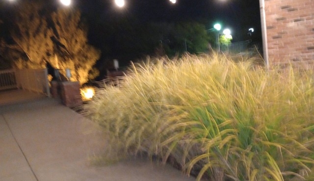 Charming 1-bedroom building in marvelous West Lafayette with fitness room, AC