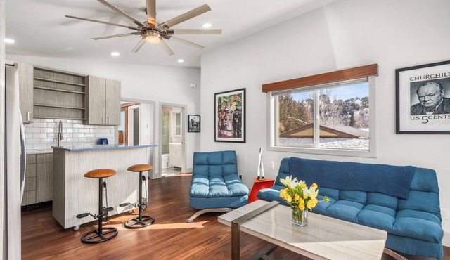 Charming 1-bedroom apartment in central Carbondale