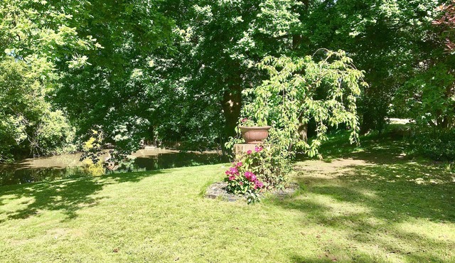 Charming 1-Bedroom Apartment near South Downs