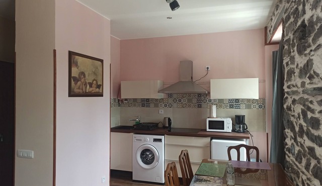 Charming 1-bedroom apartment in enjoyable Lourdes with WiFi 200 mBt
