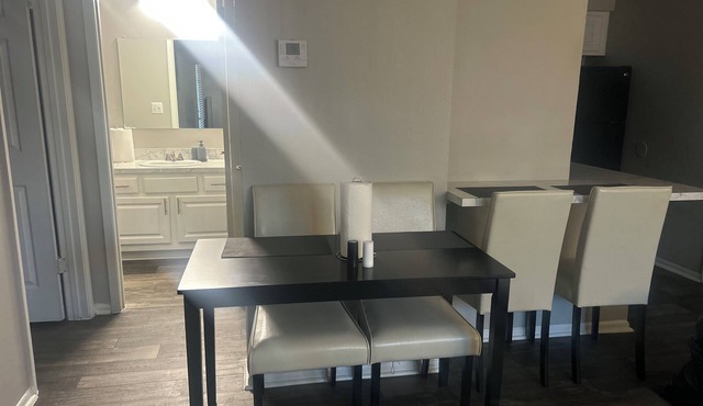 Charming 1-bedroom apartment in lovely Tampa with fitness room, WiFi