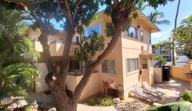 Charming 1-bedroom apartment in tranquil Paia-Kuau with AC