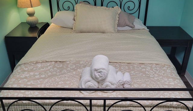 Charming 1-Bedroom Basement Apartment with AC, WiFi in lovely Lansdowne