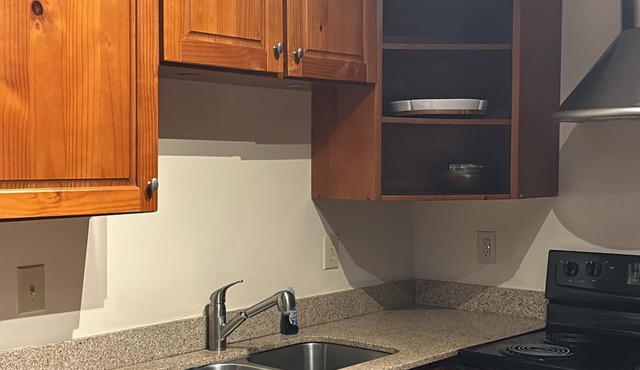Charming 1-bedroom condo in Downtown Greensboro with AC, WiFi, fitness room