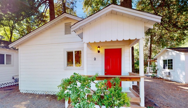 Charming 1 bedroom cabin. Queen bed, WIFI, King Sofa Sleeper. Outdoor seating.