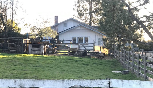 Charming 1-bedroom cottage in lovely Penngrove with WiFi, AC