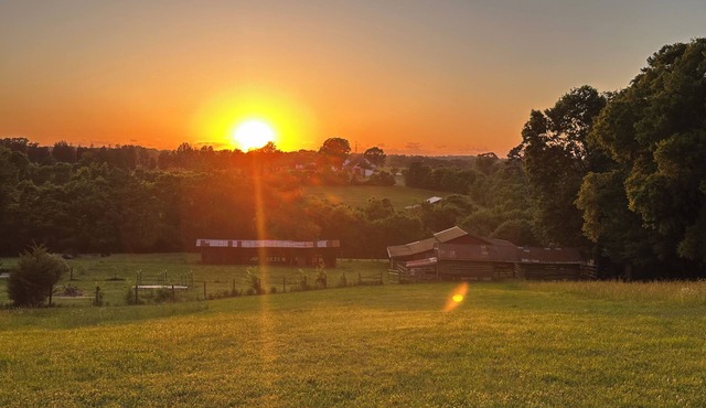 Charming 1-bedroom farm guesthouse in Lexington with WiFi and AC