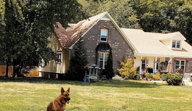 Charming 1-bedroom house in Petersburg with AC, WiFi. Enjoy your stay